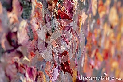 Close-up macro fragment of a palette knife paint Stock Photo