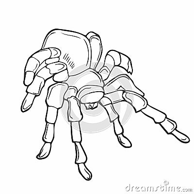 Close up macro shot of a spider in linear style vector illustration. Continuous one line drawing of spider silhouette isolated on Vector Illustration