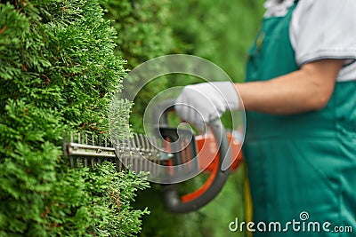Close up of man hand with hedge trimmer cutting bushes. Stock Photo