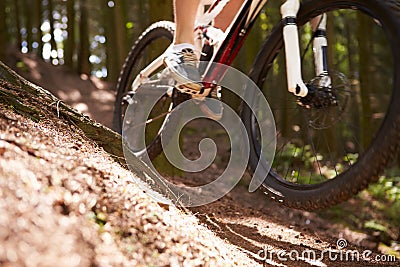 Close Up Of Man Riding Mountain Bike Through Woods Stock Photo