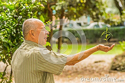 Close up of man using one hand holding and caring a young green plant, planting tree, growing a tree, love nature, save Stock Photo