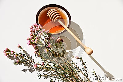 Manuka honey and tree close up Stock Photo