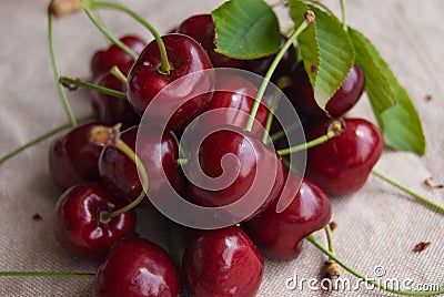 Close-up of many ripe and red cherries with petioles and leaves Stock Photo