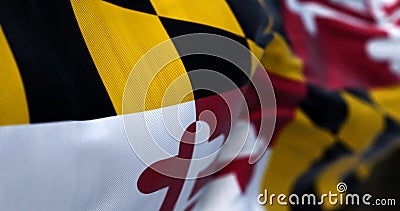 Close-up of Maryland state flag waving Cartoon Illustration