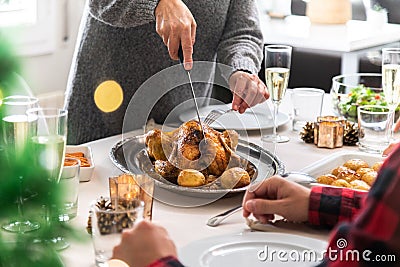 Close up of mature woman carving Christmas chicken. Stock Photo