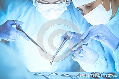 Close-up of medical team performing operation. Group of surgeons at work are busy of patient. Medicine, veterinary or Stock Photo