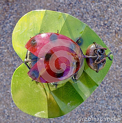 Metal Lacquered Ladybug Ornament in Nevada Cactus Nursery Stock Photo