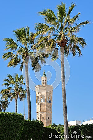 Close-up on the minaret of Soliman Hamza mosque surrounded by palm trees in the city of Mahdia Stock Photo