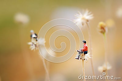 Close up of miniature,two man talking together on the flower like Dandelion. Stock Photo