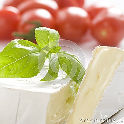 Close up on mouldy cheese Stock Photo