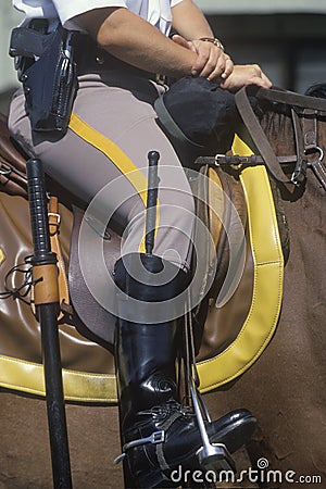 Close-up of mounted police Editorial Stock Photo