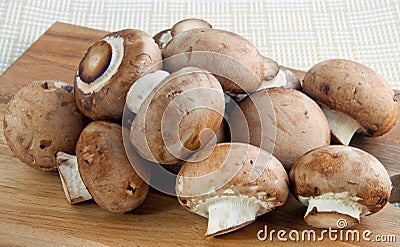 Close up of Mushrooms Stock Photo