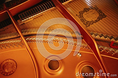 Close-up of a music performer's hand playing the piano Stock Photo