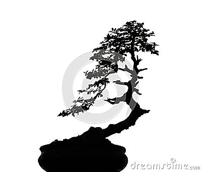 Photo silhouette of nature black bonsai tree isolated on white background with clipping path Stock Photo