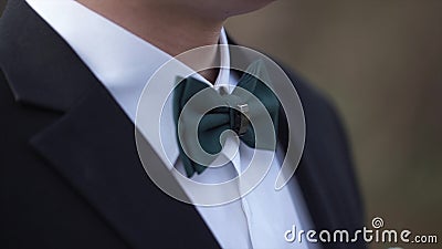 Close-up on nerd, man in bow tie. Man`s hands touches bow-tie on a suit or tuxedo. man in a shirt and bow tie Stock Photo