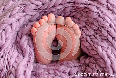 Close up of newborn baby feet covered with the blanket Stock Photo