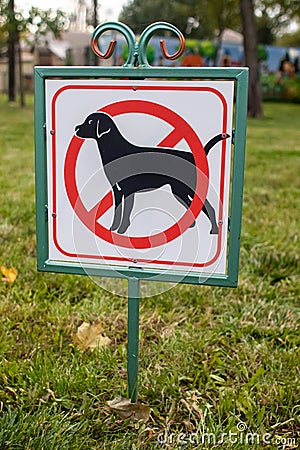 Close-up of no dog sign. Street pointer on a background of green grass. Ban on defecation and running of pets on park lawns and Stock Photo