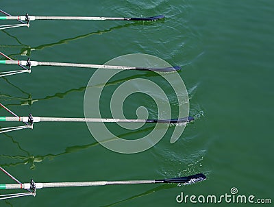 Close up oars of quadruple skulls rowing team Stock Photo