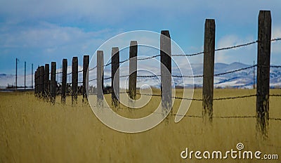 CLOSE UP: Old barbed wire fence runs around a golden grassfield in Montana. Stock Photo