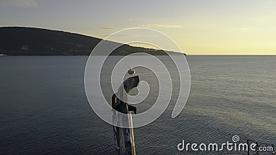 Close-up of old and destroyed ship trunk and gull sitting on a rusty pipe against the sunset sky. Shot. Marine Stock Photo