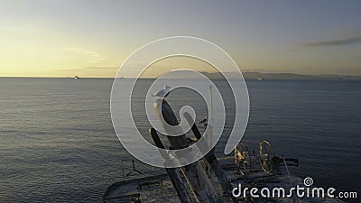 Close-up of old and destroyed ship trunk and gull sitting on a rusty pipe against the sunset sky. Shot. Marine Stock Photo