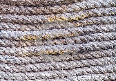 Close up of old twisted rope on natural light Stock Photo