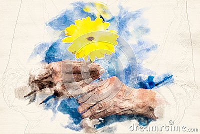 Close-up of older womans hand holding a yellow flower in the style of an aquarelle Stock Photo