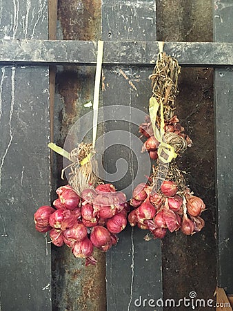 Onion hanging on wood wall Stock Photo