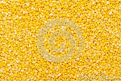 Close up of Organic yellow Gram Vigna radiata or split yellow moong dal Full Frame Background. Stock Photo