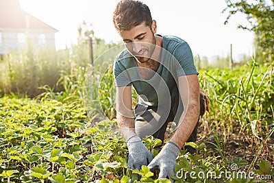 Close up outdoors portrait of mature attractive bearded male farmer in blue t-shirt smiling, working on farm, plans Stock Photo