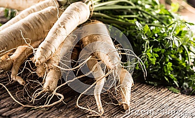 Close-up parsnip with parsley top on wooden board Stock Photo