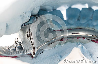 Close up partial denture on a plaster mold Stock Photo