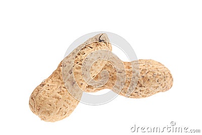 Close up of peanut. Stock Photo