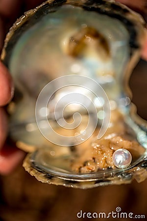 Pearl inside open shell Stock Photo