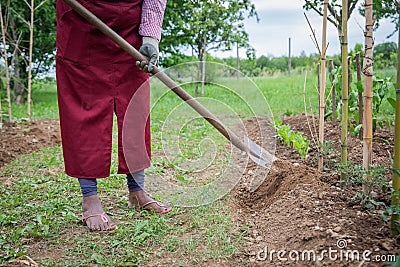 Close-up of a peasant`s shovel digging the ground, tillage of fields concept Stock Photo