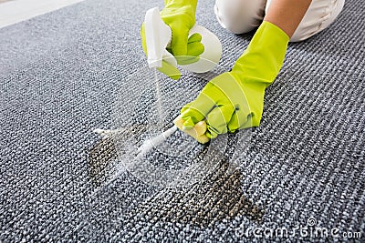 Close-up Of Person Hand Spraying Detergent On Carpet Stock Photo