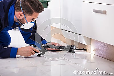 Pest Control Worker Spraying Pesticide On Wooden Cabinet Stock Photo