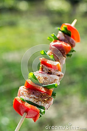 Chicken breast on wooden skew Stock Photo