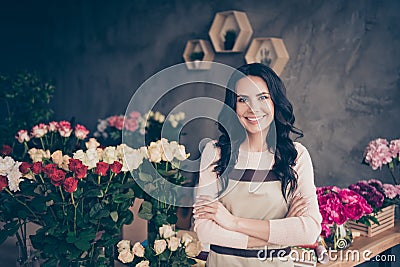 Close up photo beautiful adorable amazing she her lady many roses vases retail seller assistant employee hands arms Stock Photo