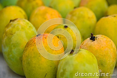 Close up photo of bunch of mangoes Stock Photo