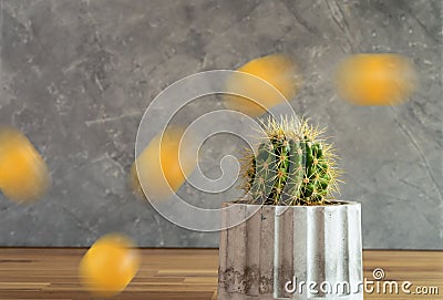 Close up photo of cactus plant and jumping ball as a concept of overcome problems and complex issues. Stock Photo