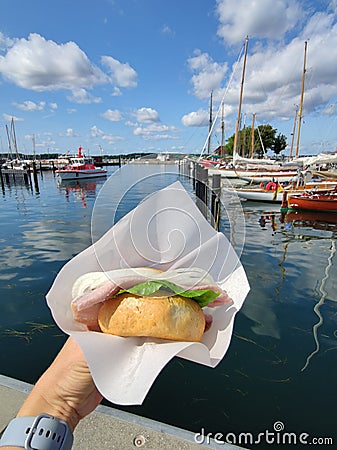 Hoto of hand holding bun with fish and onion, traditional north german healthy fast food with rural bucht on background Stock Photo