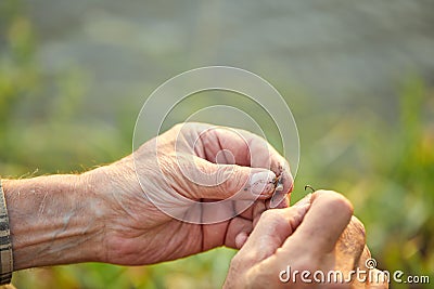 Close-up photo of male hands putting worm on fishing rod, preparing for catching fish Stock Photo