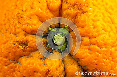 Close up photo of orange peel texture. Oranges ripe fruit background, macro view Stock Photo