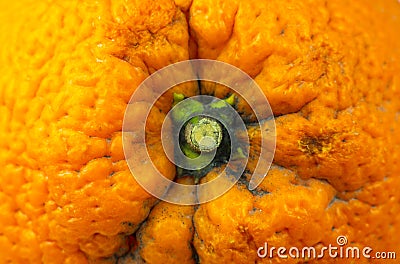 Close up photo of orange peel texture. Oranges ripe fruit background, macro view Stock Photo