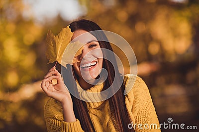 Close up photo of positive cheerful girl nature lover enjoy travel fall park grove laugh close cover eye face maple Stock Photo