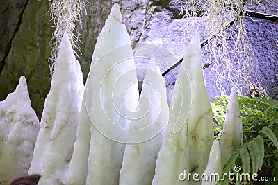 A Close up photo taken on some whitish ice formations Stock Photo