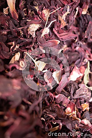 Close-up photograph of a collection of dried flower petals in the streets of Tel Aviv, Israel Stock Photo