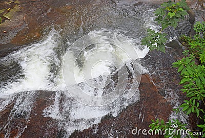 Close up of Running Clear Water in a Stream or a Small Waterfall with surrounding Plants Stock Photo