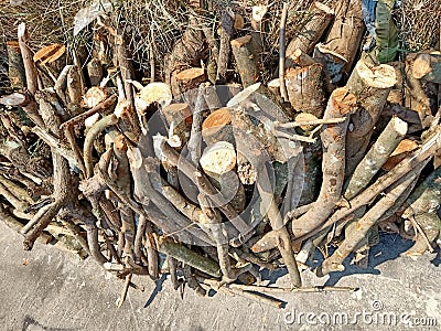 Close up of a pile of firewood Stock Photo